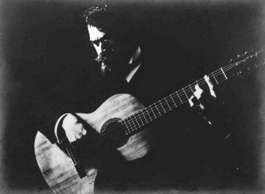 BRIEF HISTORY OF A GUITAR