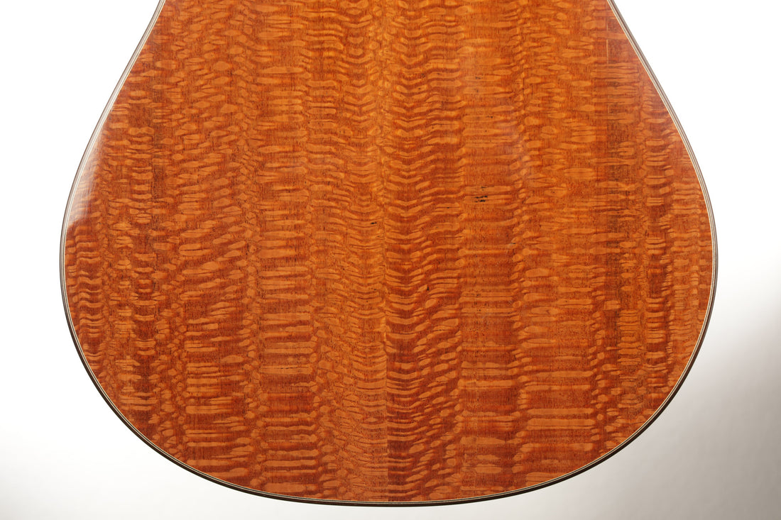 Paulino Bernabé - 2020 640