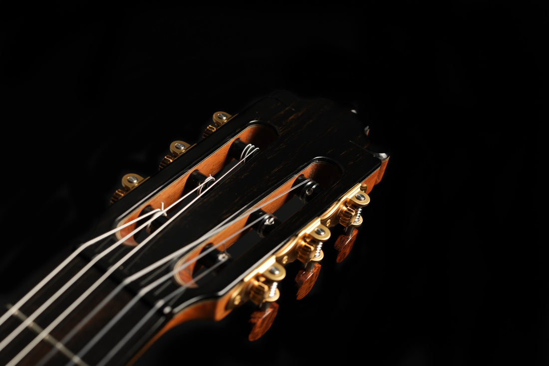 Paulino Bernabé - 2020 640mm