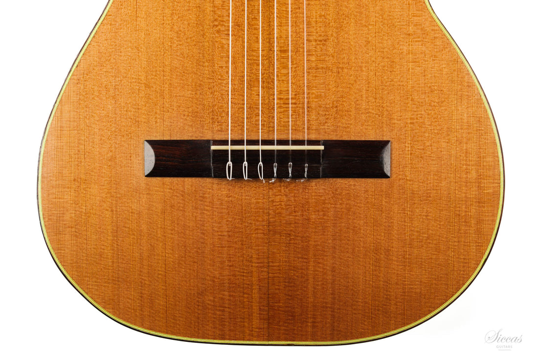 Mario Sicca - 2020 Cedar