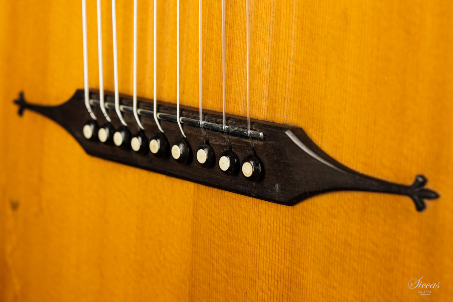 Hermann Hauser ® I - 1923 Contraguitar