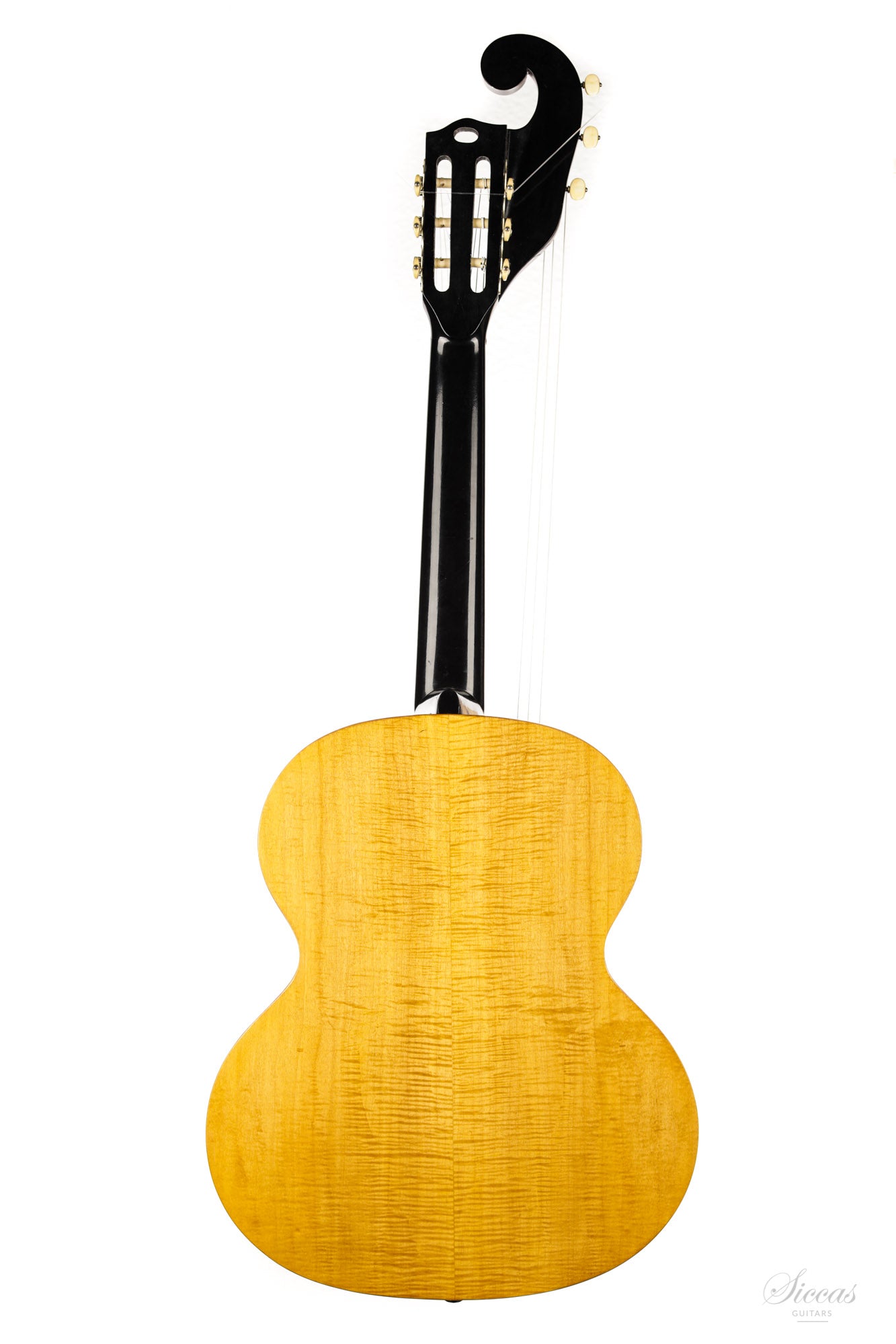 Hermann Hauser ® I - 1923 Contraguitar