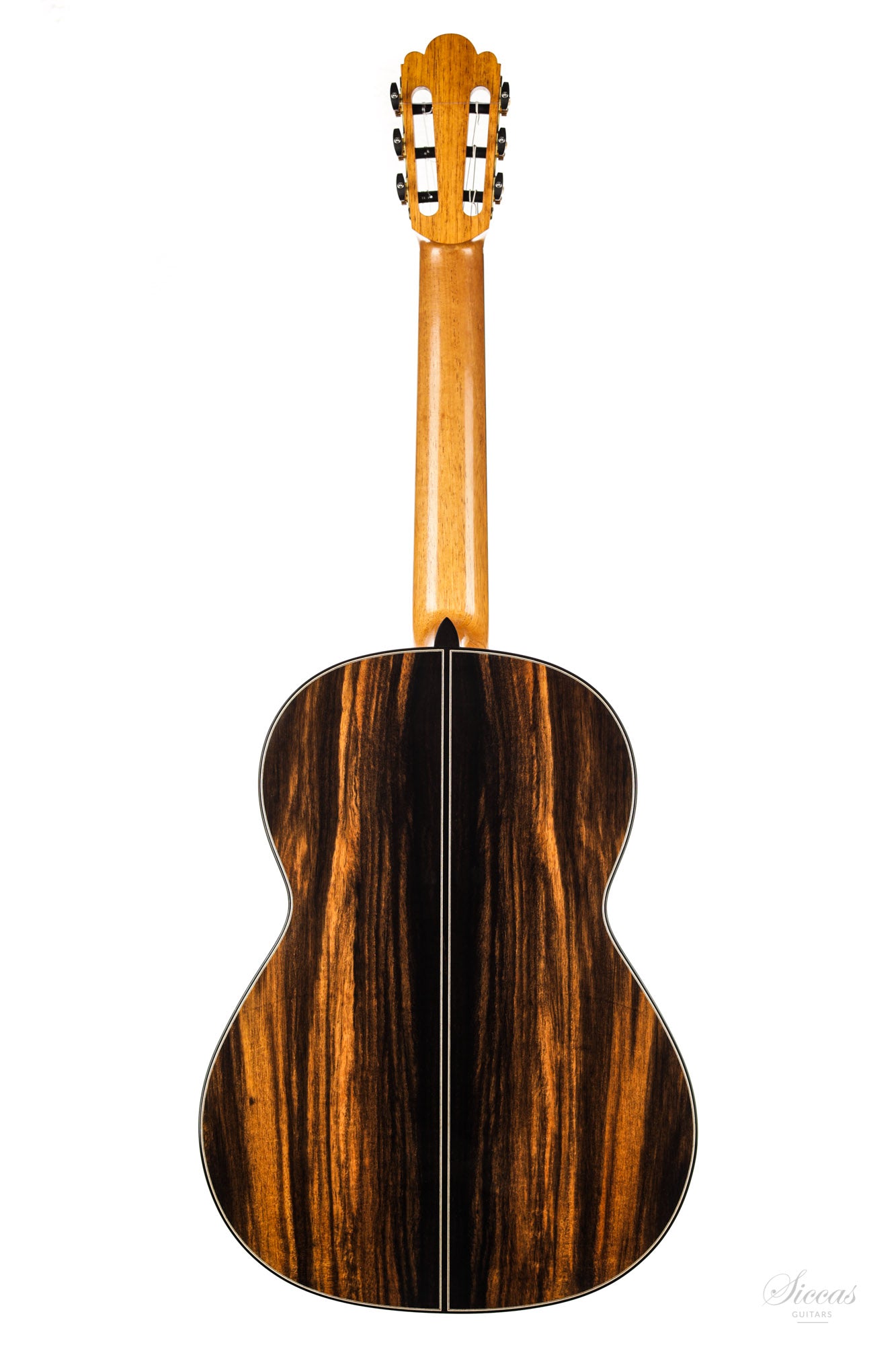 Nils Schebesta - 2020 Zeder