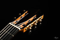 Nils Schebesta - 2020 Zeder