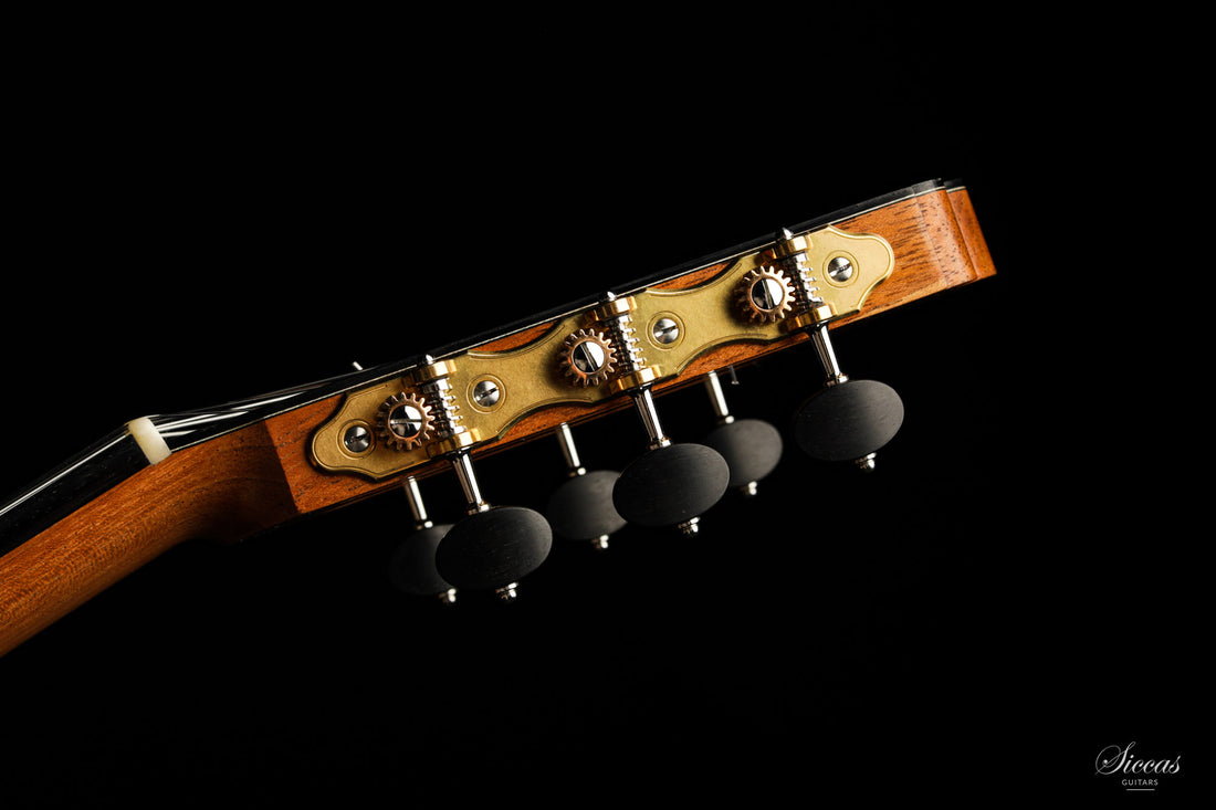 Nils Schebesta - 2020 Fichte