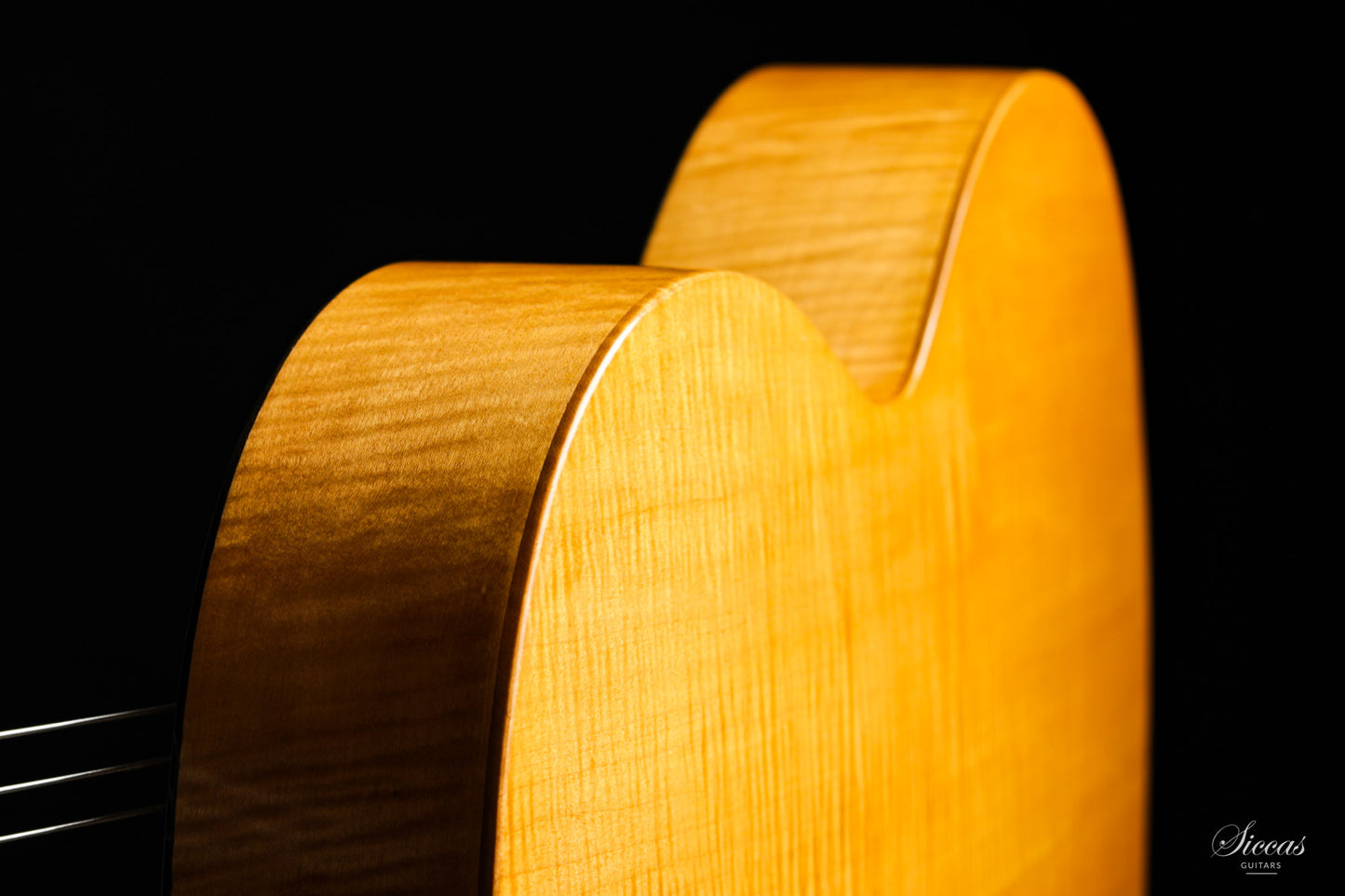 Hermann Hauser ® I - 1923 Contraguitar