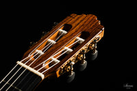 Altamira - L'Orfeo #685 "Green Ebony"