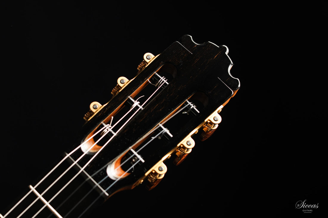 Paulino Bernabé - 2020 Concierto