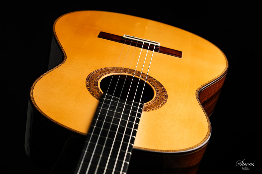 Paulino Bernabé - 2020 Concierto