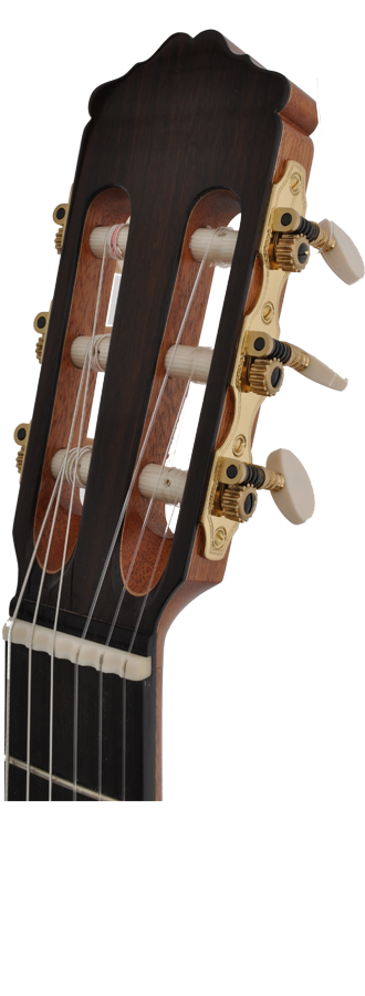 Roy Fankhänel - 2011 RF127 img-2