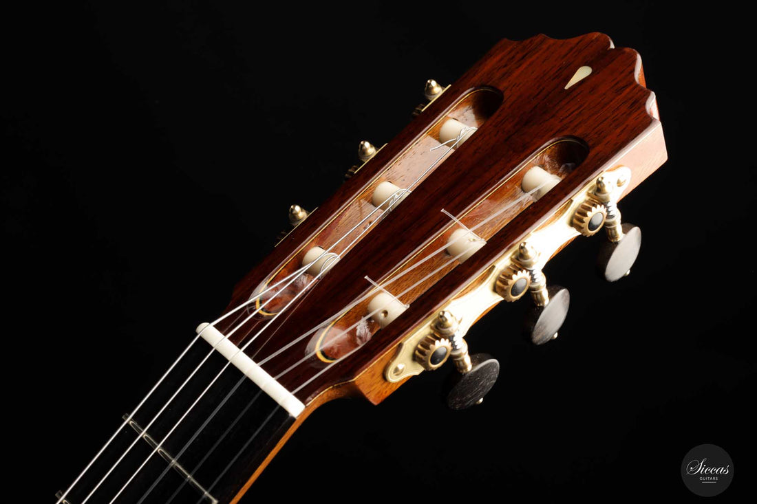 Achim Peter Gropius - 2022 Doubletop 64 cm