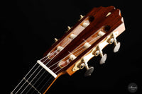 Achim Peter Gropius - 2022 Doubletop 64 cm