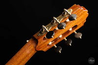 Achim Peter Gropius - 2022 Doubletop 64 cm