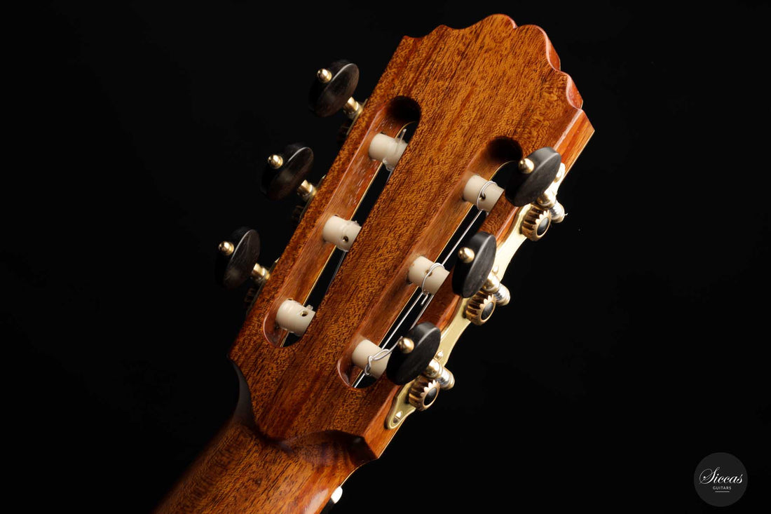 Achim Peter Gropius - 2022 Doubletop 64 cm