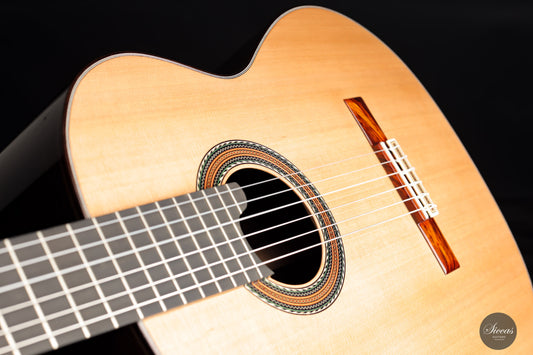 Alhambra - José Miguel Moreno 2021 img-2