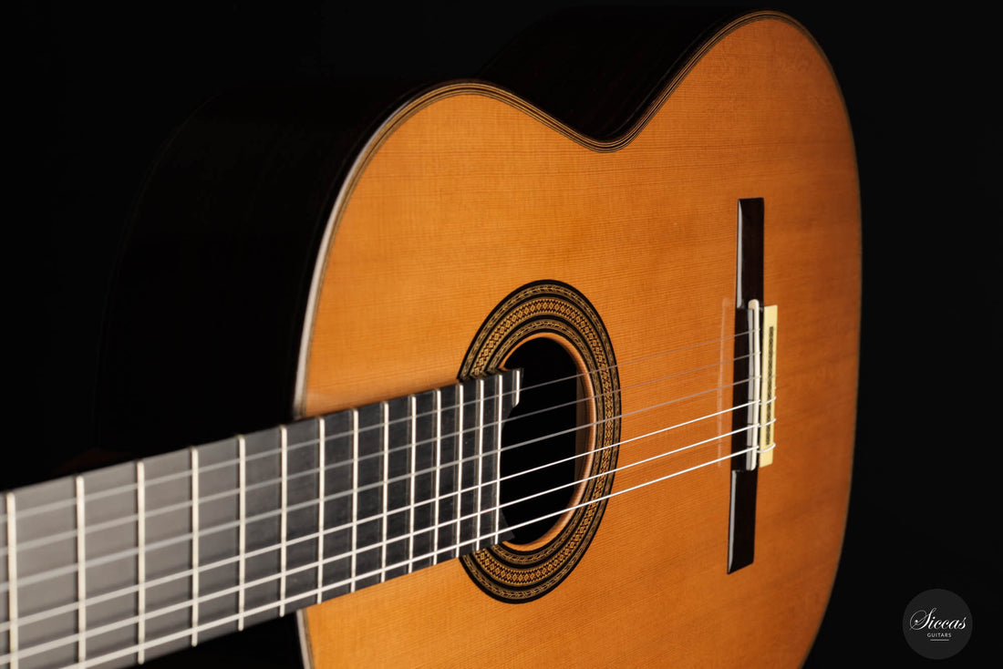 Andrea Tacchi - 1998 Coclea No. 217