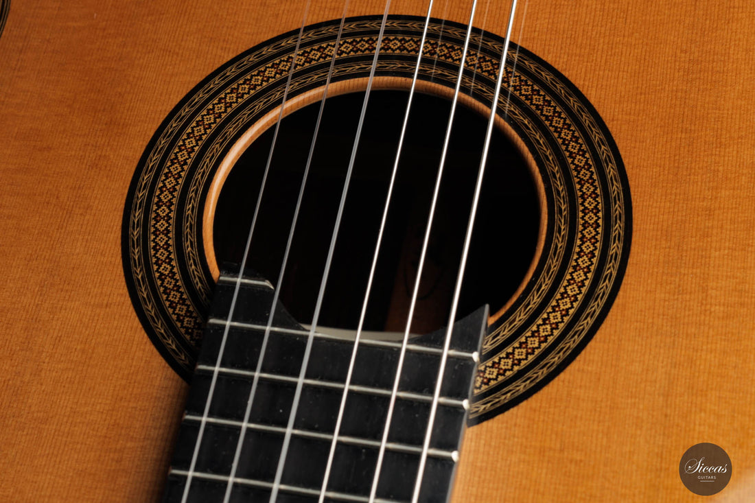 Andrea Tacchi - 1998 Coclea No. 217