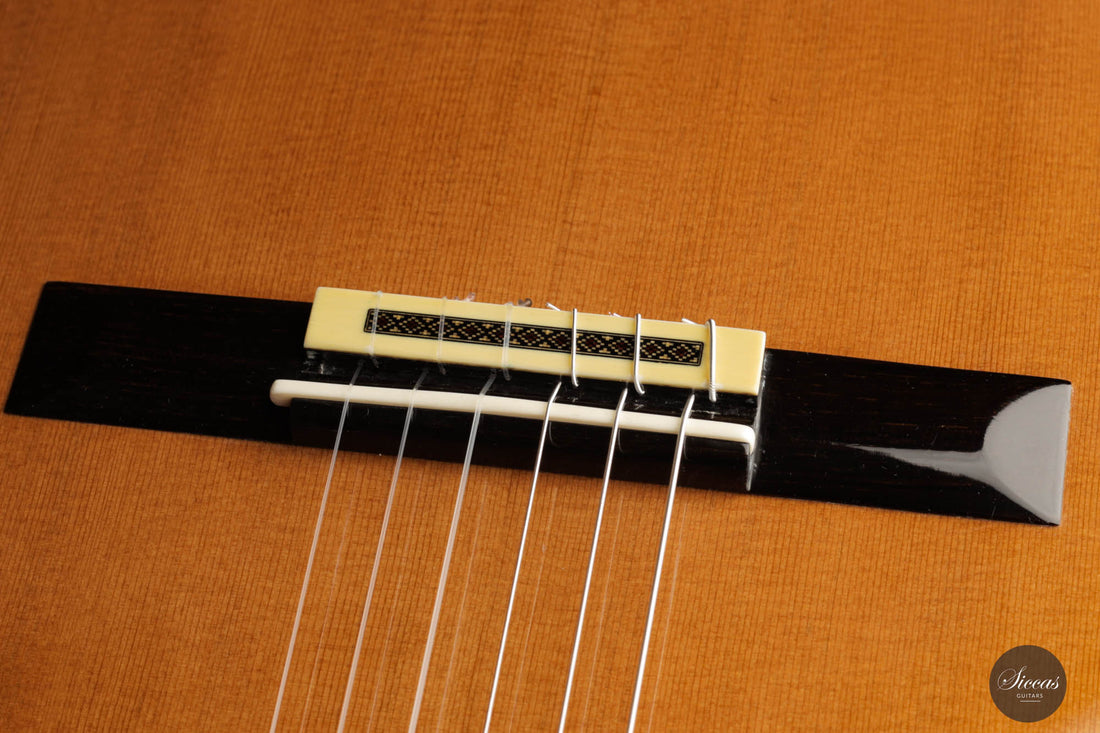 Andrea Tacchi - 1998 Coclea No. 217