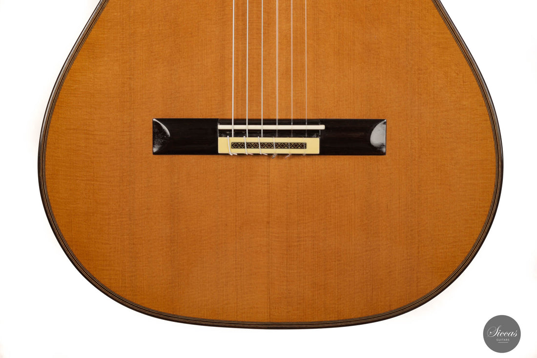 Andrea Tacchi - 1998 Coclea No. 217