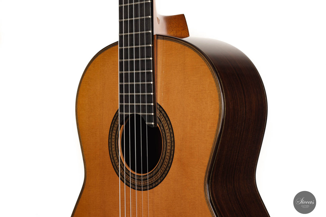 Andrea Tacchi - 1998 Coclea No. 217