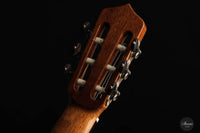 Andrea Tacchi - 1998 Coclea No. 217