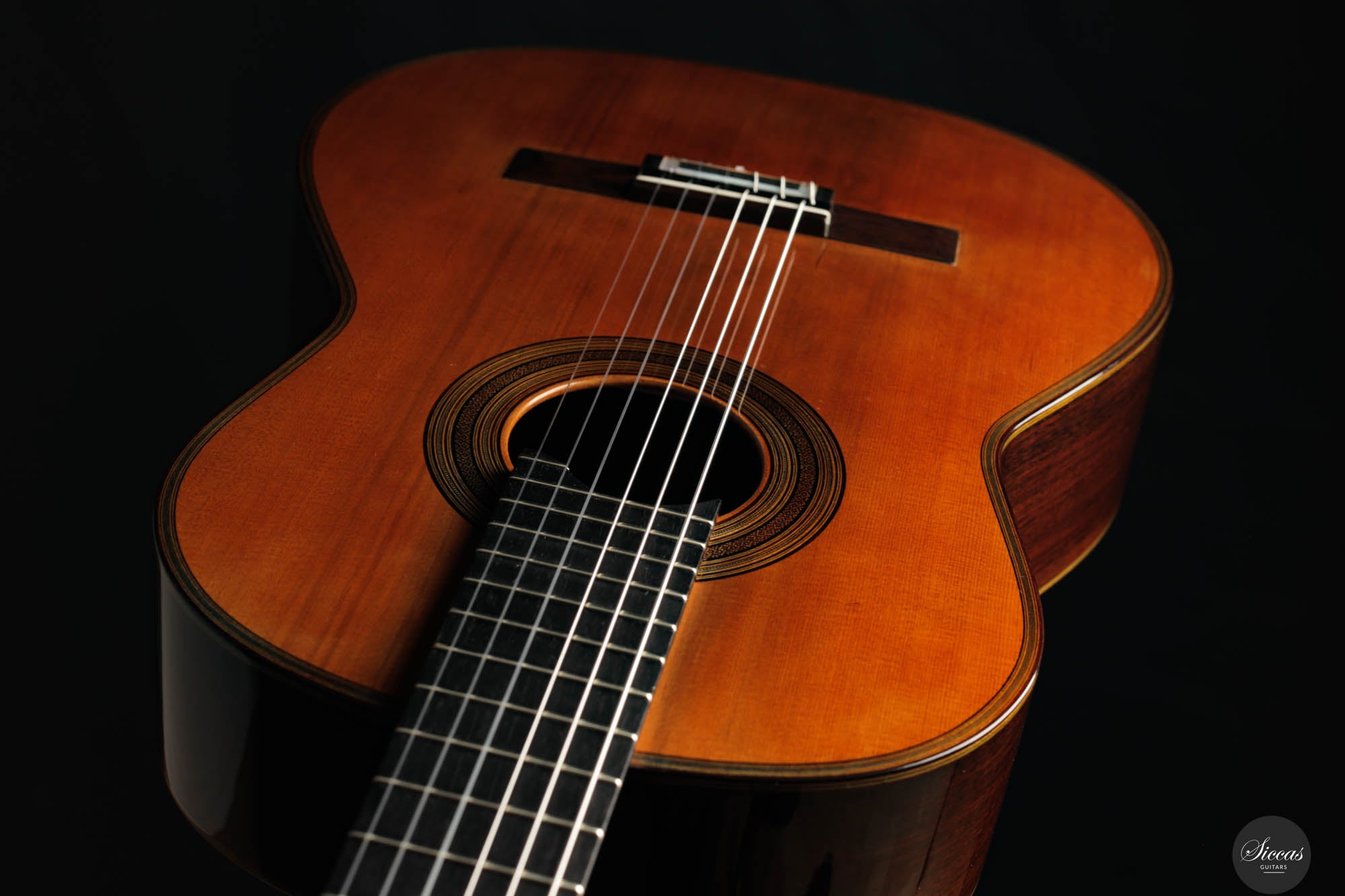 その他 Andrea Centazzo : Guitars Andrea Stanzione – 2024 REG Limited Edition – Siccas Guitars