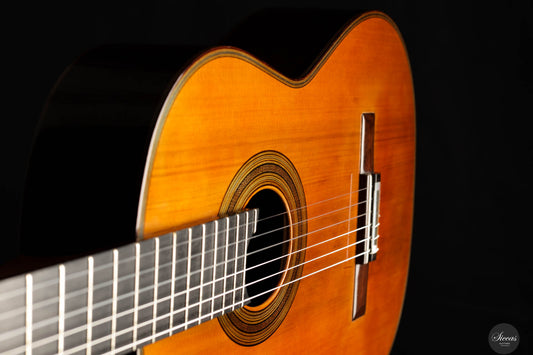 Andrea Tacchi - 2013 Coclea Cedro No. 372 img-2