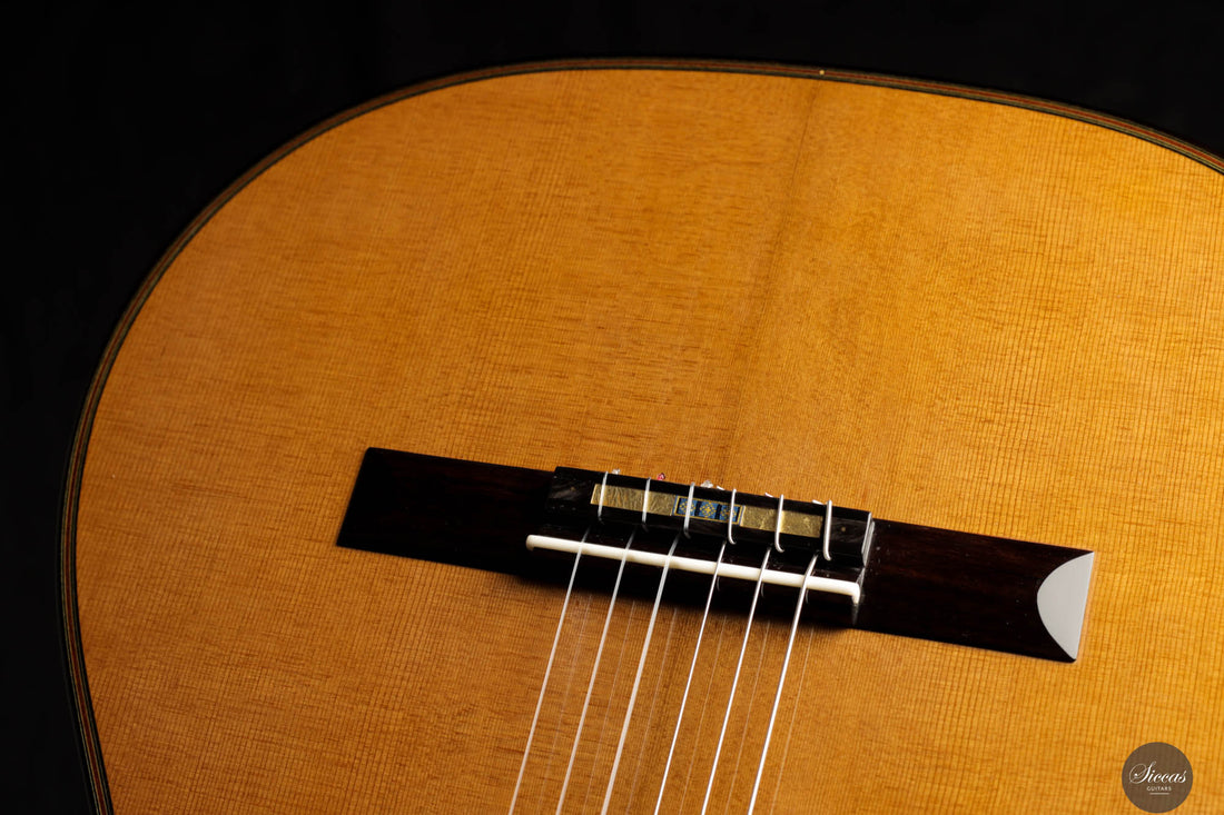 Andrea Tacchi - 2016 Coclea "Ego" 63,5 cm