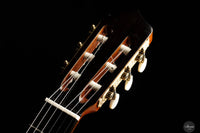 Andrea Tacchi - 2016 Coclea "Ego" 63,5 cm