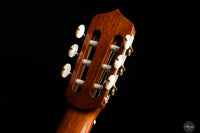 Andrea Tacchi - 2016 Coclea "Ego" 63,5 cm