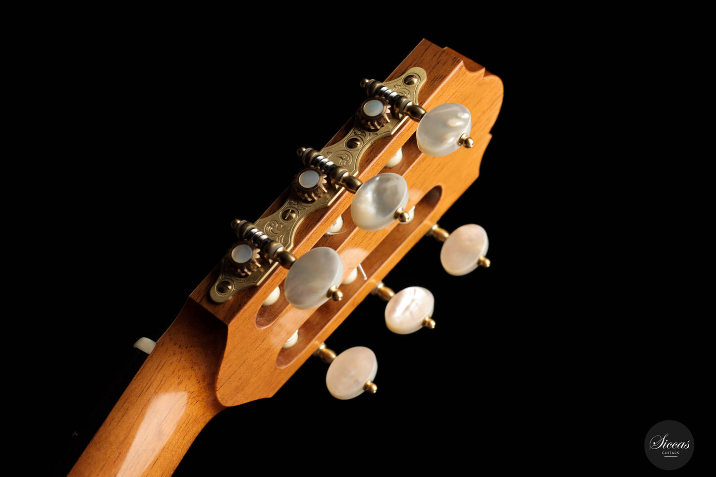 Angelo Vailati – 2023 REG Spruce/Rosewood