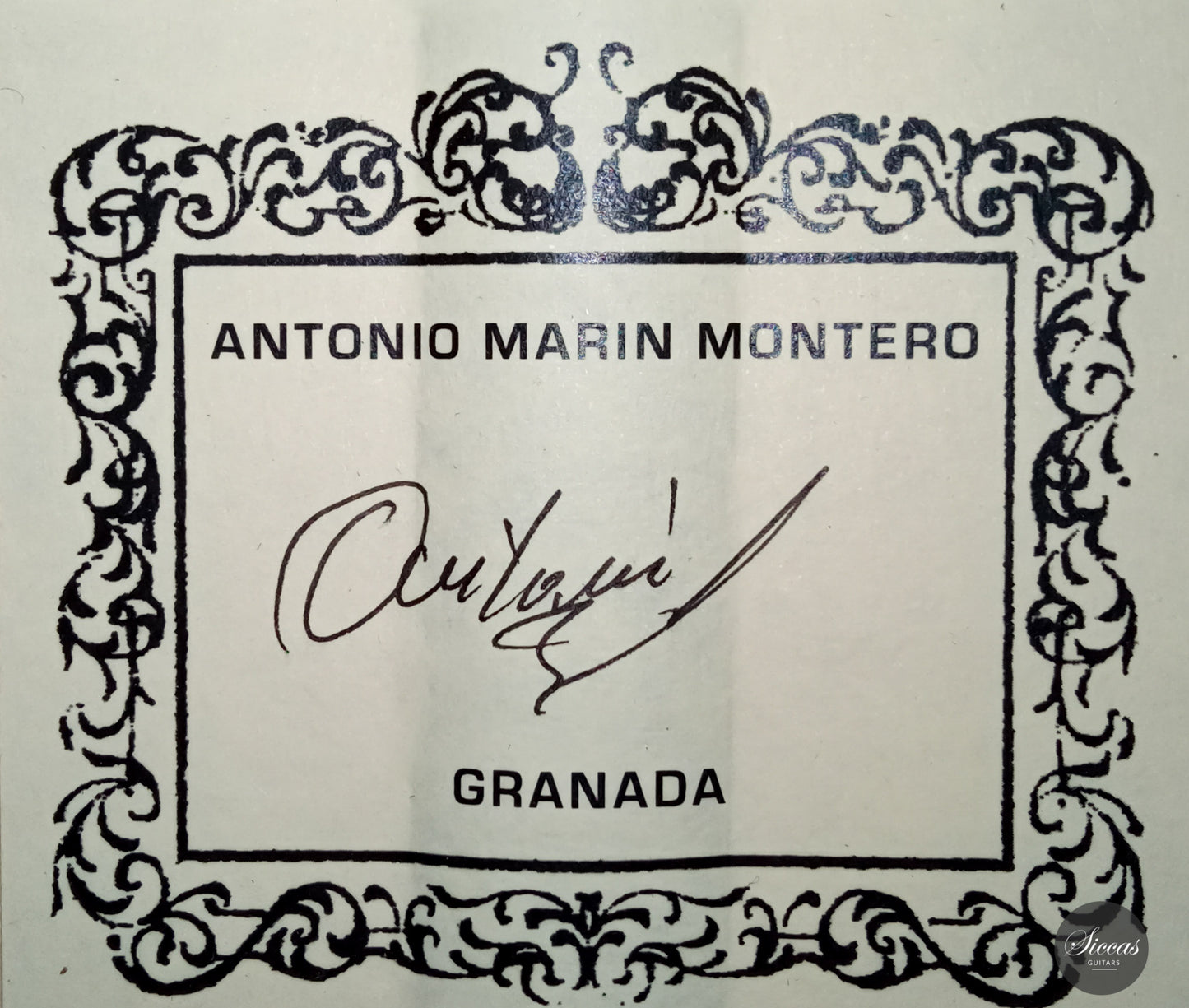 Antonio Marin Montero - 2020 Maple