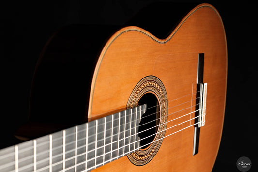 Antonius Müller - 2020 Doubletop img-2