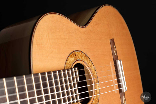 Armin Hanika – 1a Doubletop "Special Custom Zeder/Eibe" img-2