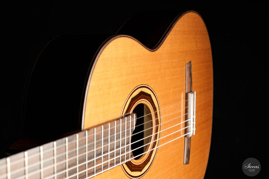 Armin Hanika – 1a Torres Cedar img-2