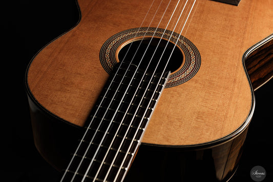 Armin Hanika - HE Doubletop img-2