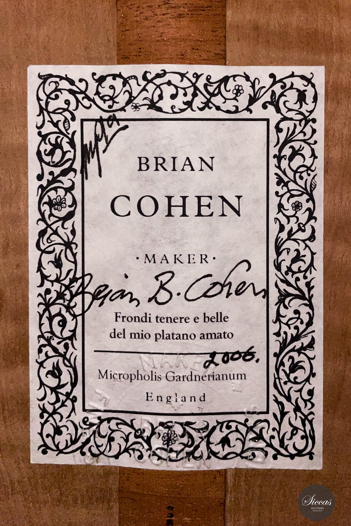 Brian Cohen – 2006 Torres