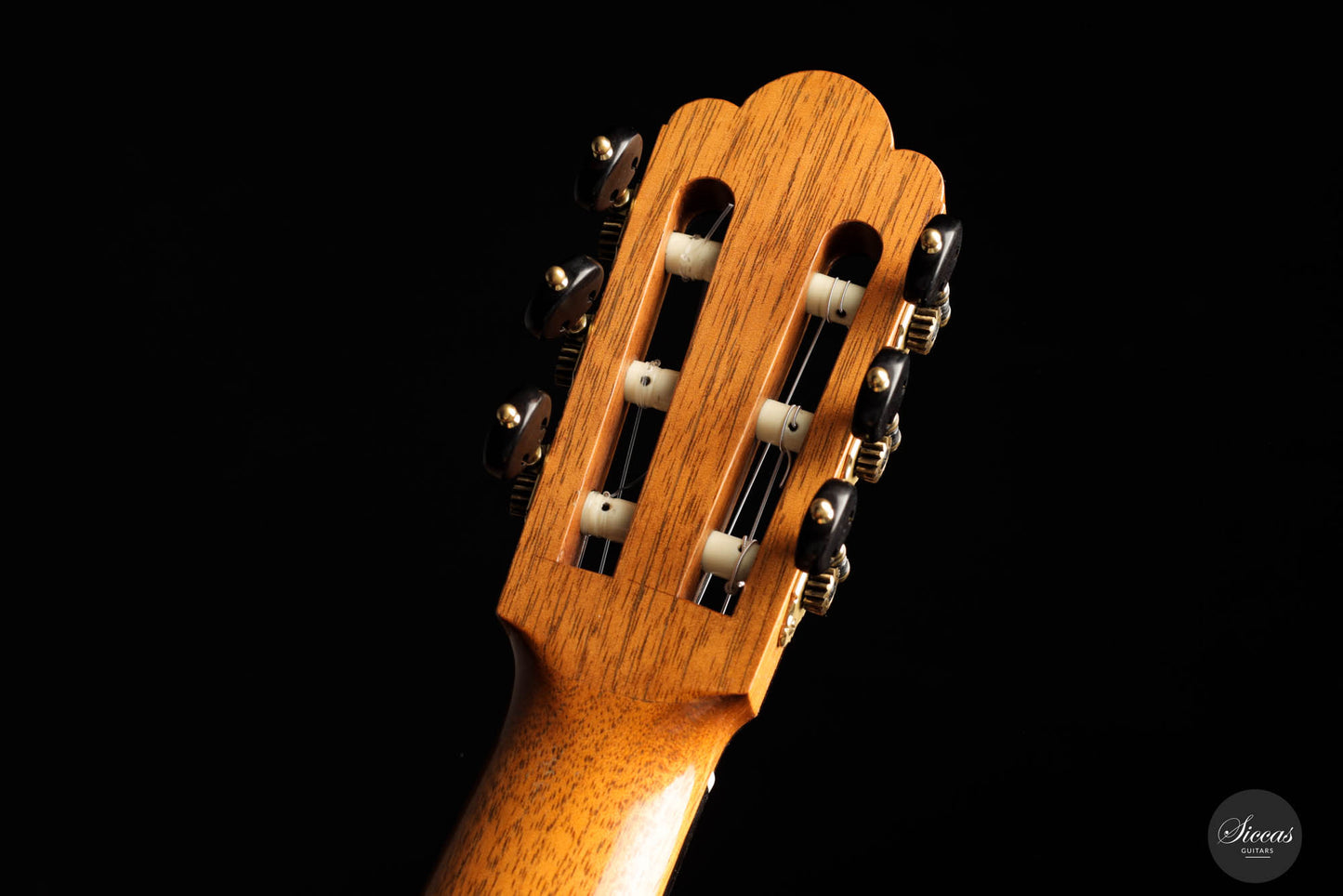 Brian Cohen – 2006 Torres