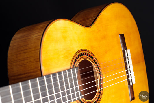 Carl Hermann Schäfer - 2021 „Vicente Arias“ img-2