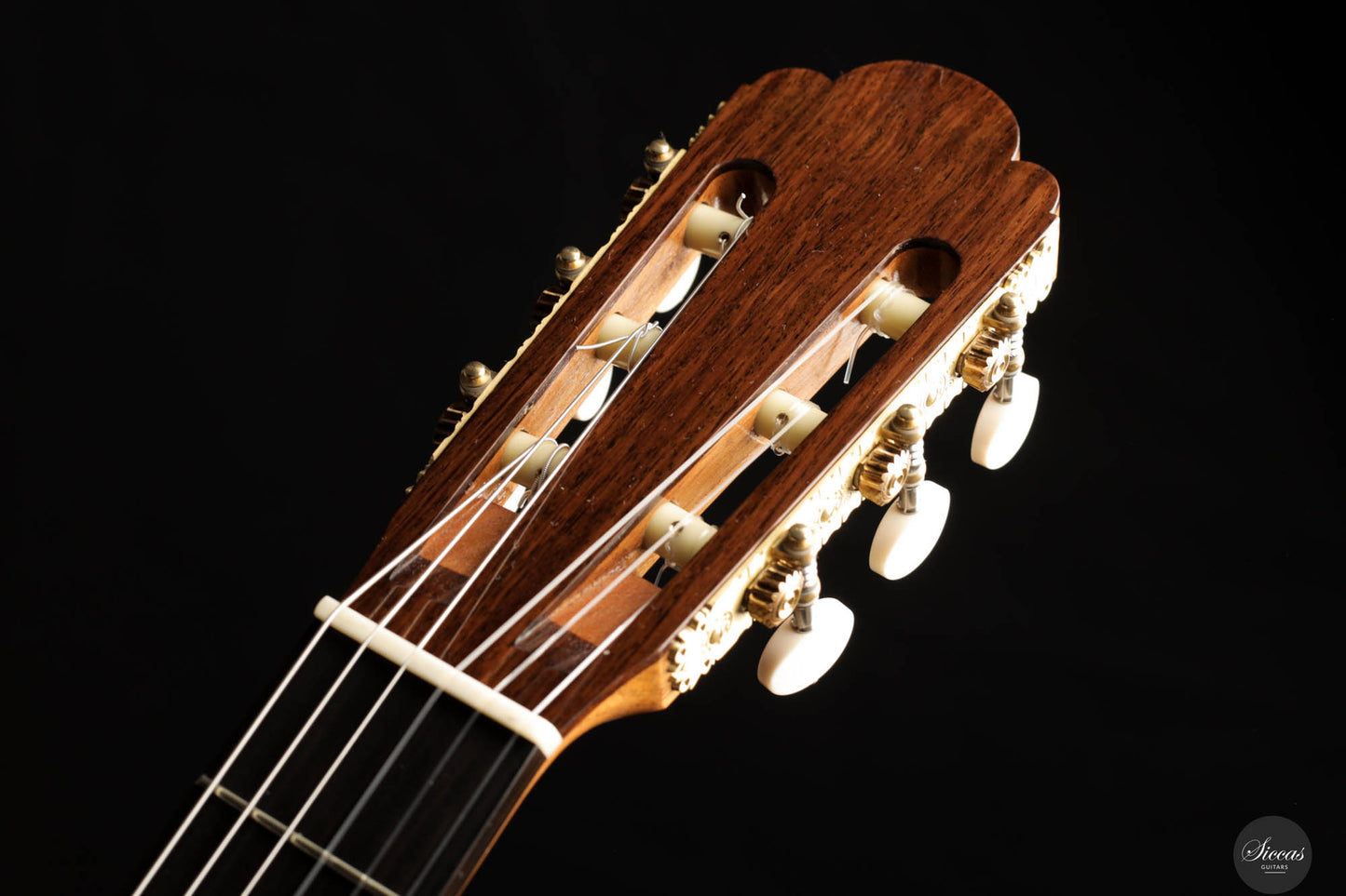 Christopher Dean - 2023 No. 520 "Torres Model"