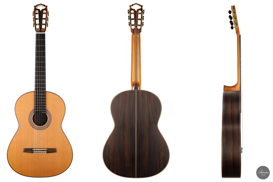 Armin Hanika - Natural Doubletop CF img-2