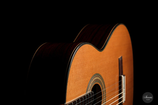 Armin Hanika - HE Doubletop img-2