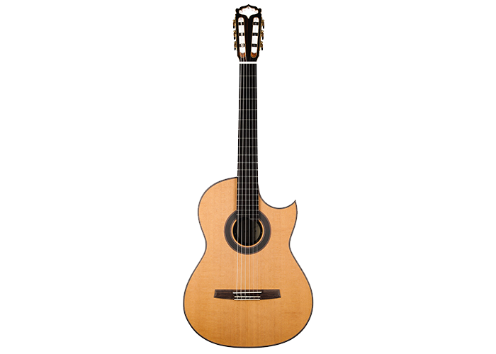 Armin Hanika - Fusion PC – Siccas Guitars