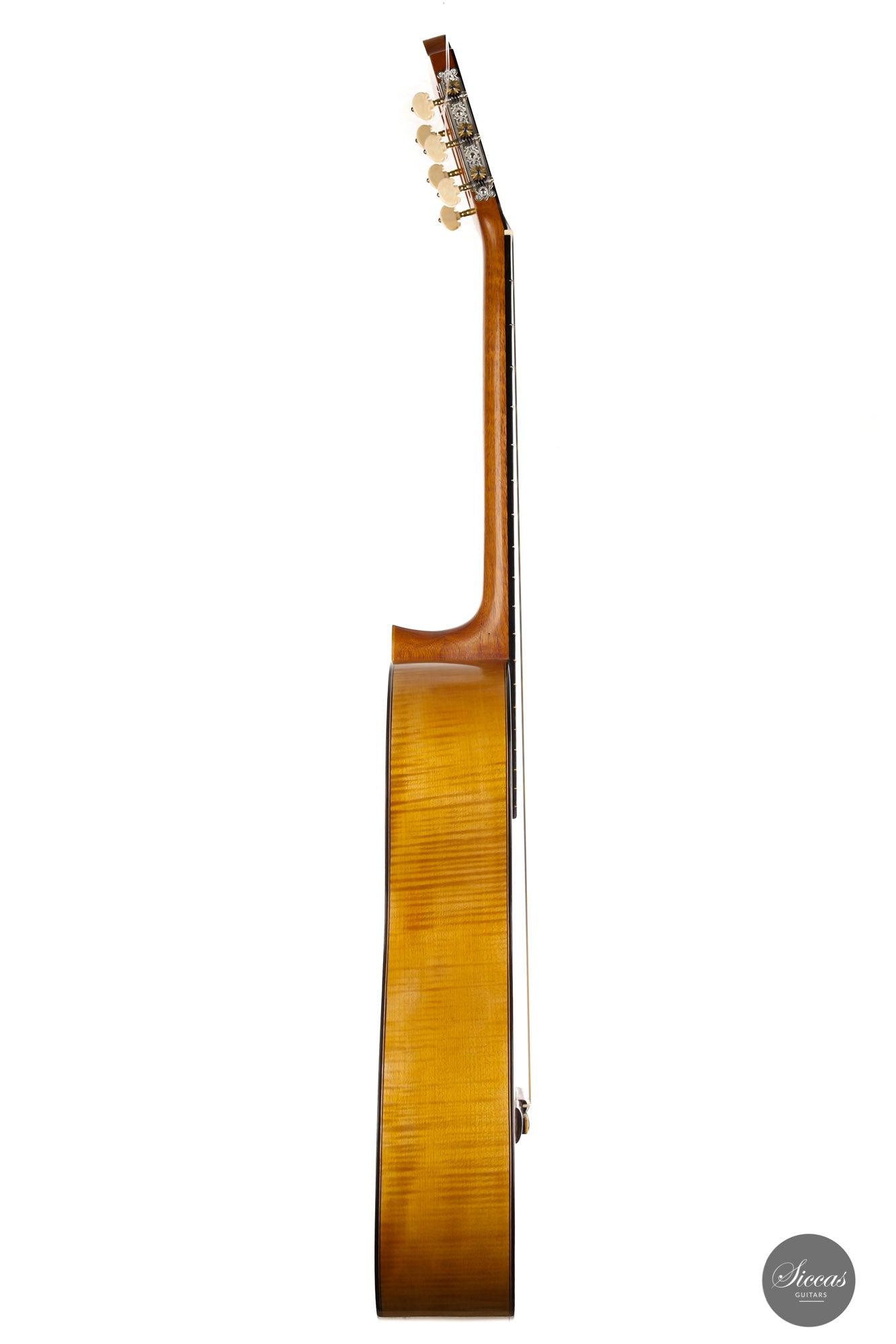 Carl-Hermann Schäfer - 2020 "Bouchet"
