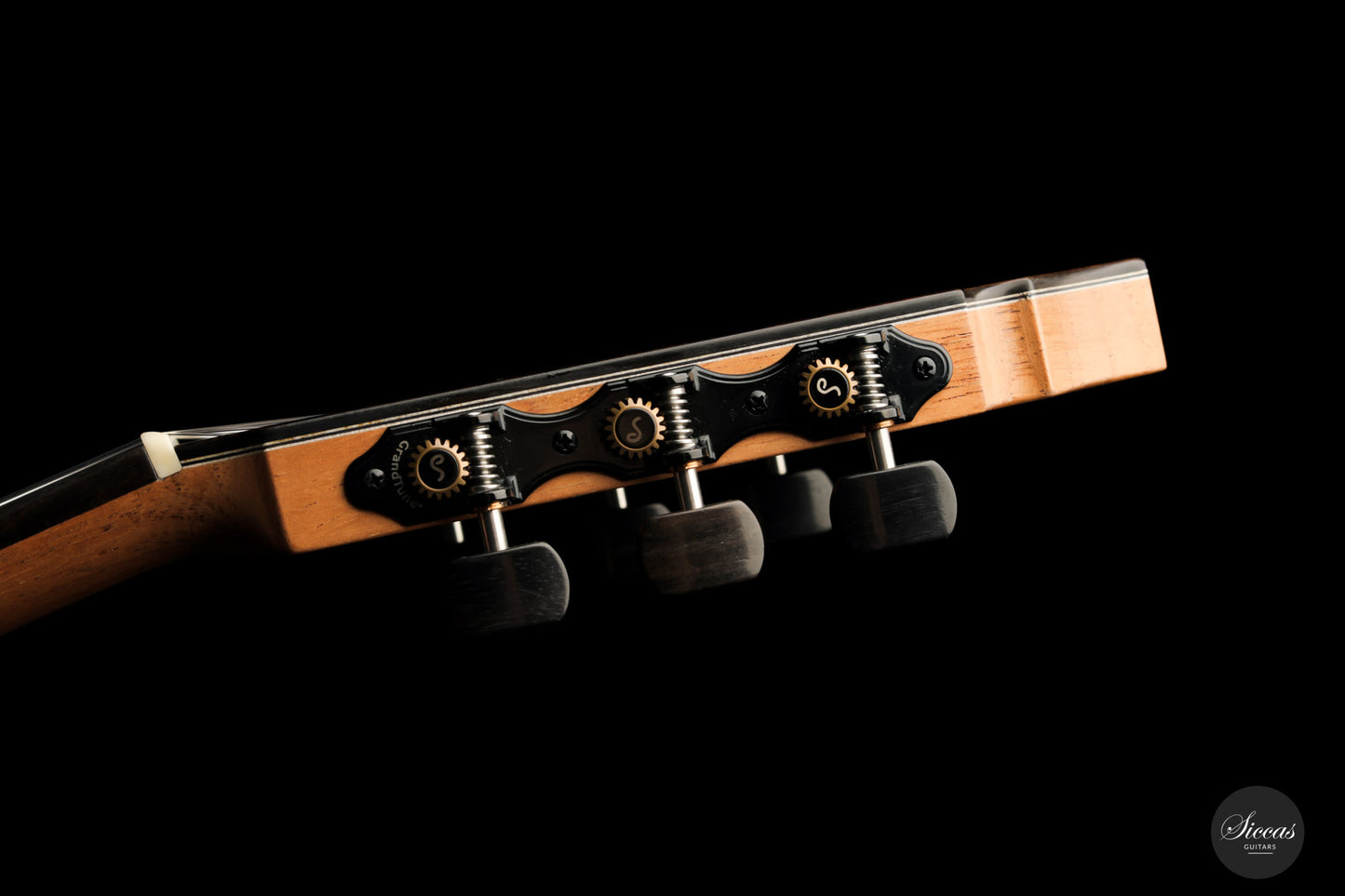 Fernando Mazza - 2017 Doubletop