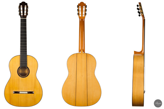 Fritz Ober - 2011 Torres "La Leona" img-2