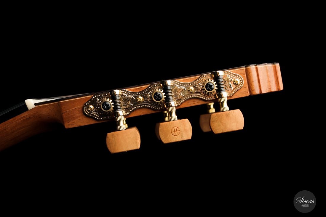 Gábor Horváth - 2020