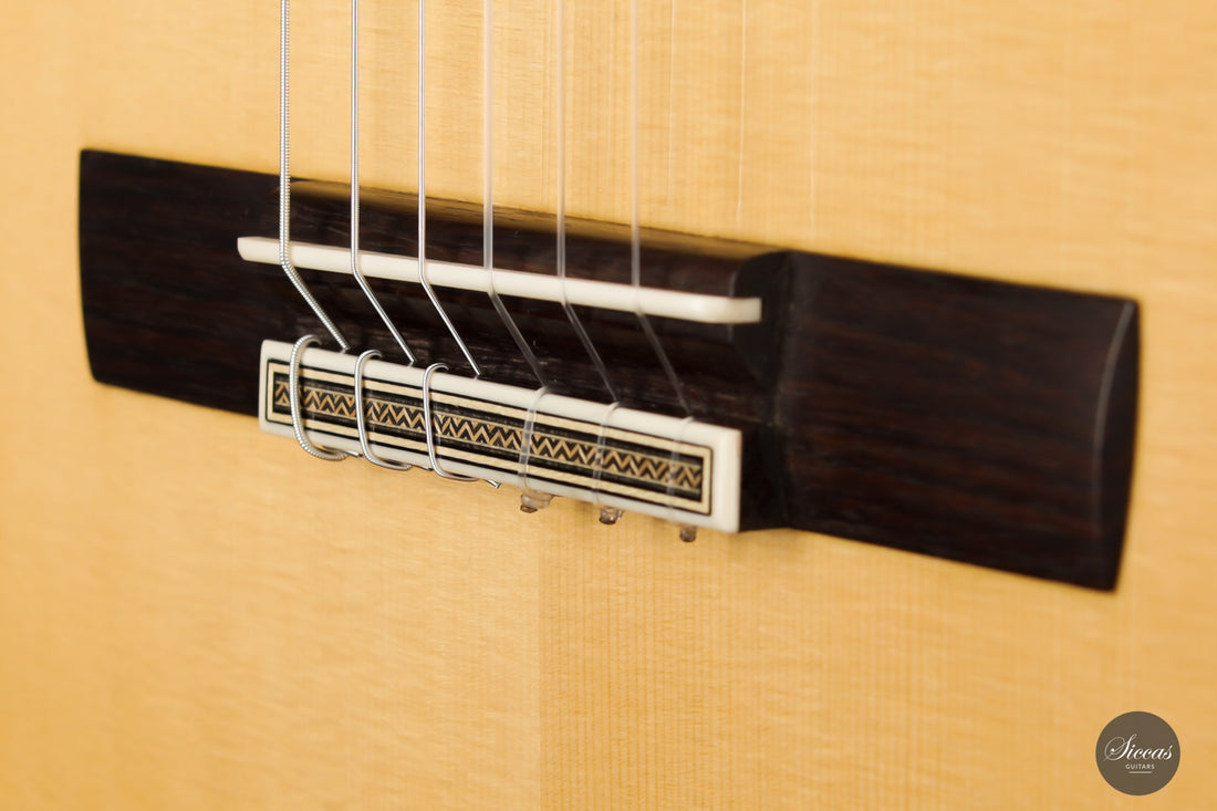 Gábor Horváth - 2020