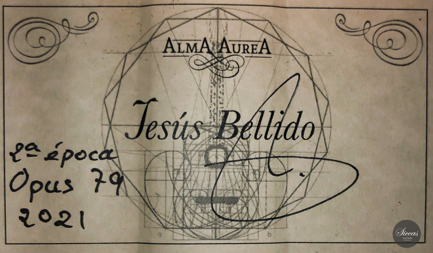 Jesus Bellido - 2021 64cm