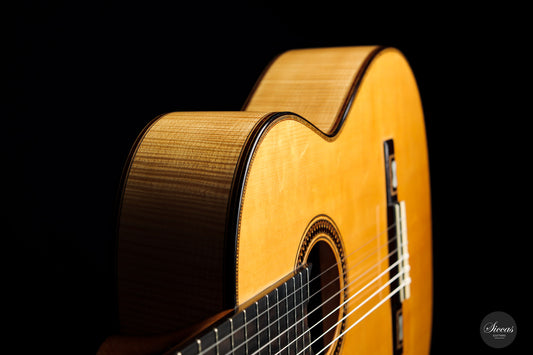 José Luis Romanillos - 1981 Nr. 590 img-2